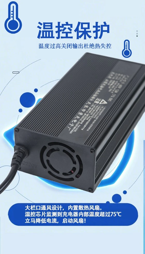 Aluminum Cased Sightseeing Vehicle Charger price