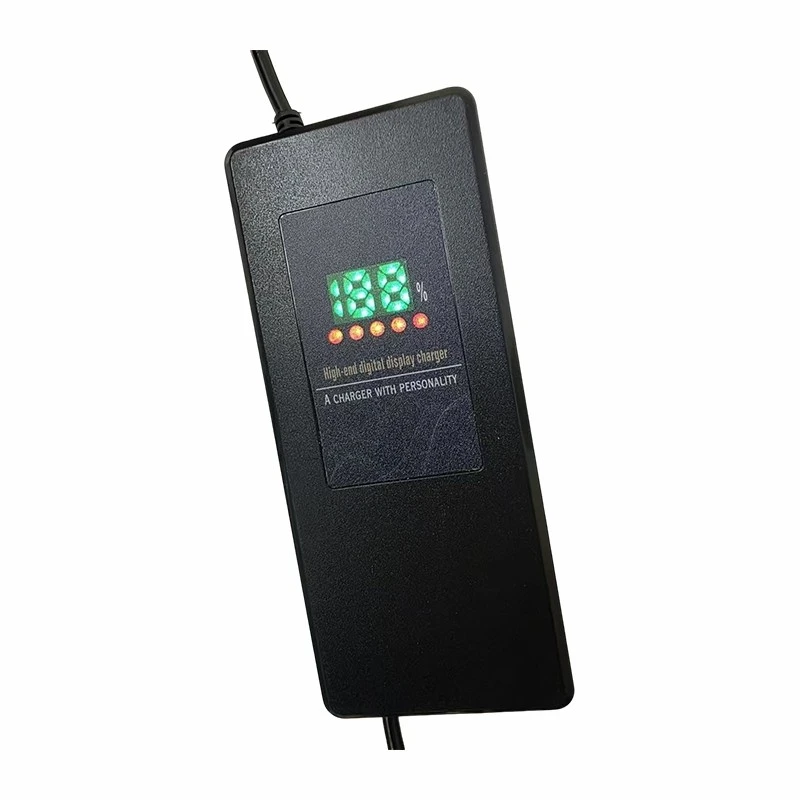 Portable Motorcycle Battery Charger best